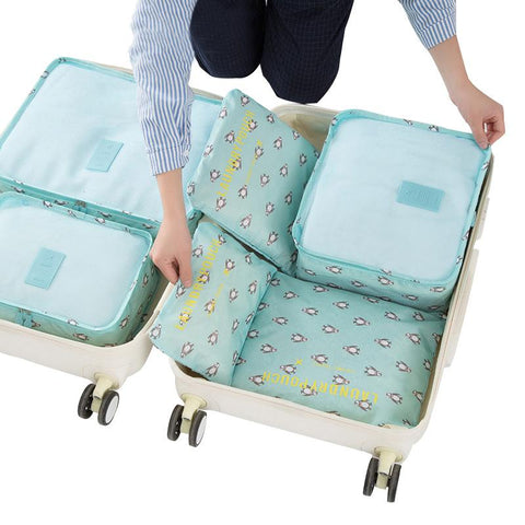 Organizer Luggage