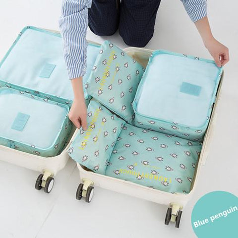 Organizer Luggage