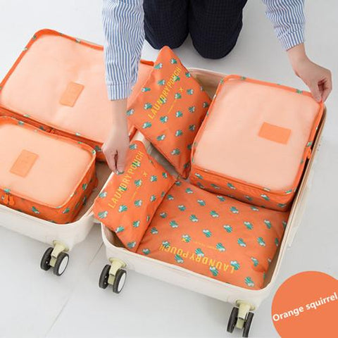 Organizer Luggage