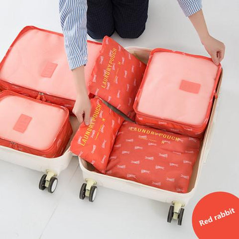 Organizer Luggage